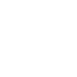 Entrevistas